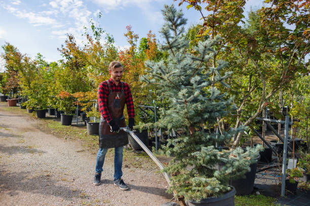 Best Seasonal Cleanup (Spring/Fall)  in King, WI